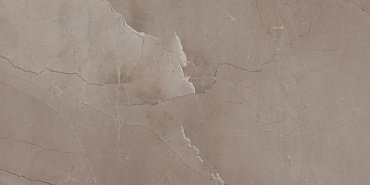 Керамогранит Passion Lux 90 Taupe Lapatto 45x90 11-015-4 купить в интернет магазине Artisan.ru