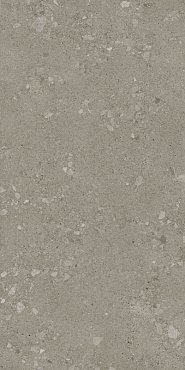 RIN.FUS.AGGL.DARK 60X120 купить в интернет магазине Artisan.ru