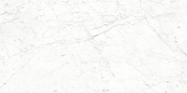Керамогранит Carrara Bianco Polished 60x120 CV20187 купить в интернет магазине Artisan.ru