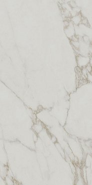 SG540720R Монте Тиберио серый светлый матовый обрезной 60x119,5x0,9 керам.гранит купить в интернет магазине Artisan.ru