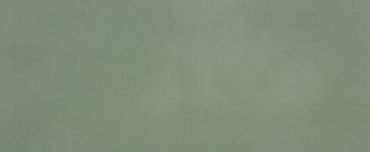 MATERIA BRILLANTE 50X120 BOSCO BRILLANTE купить в интернет магазине Artisan.ru