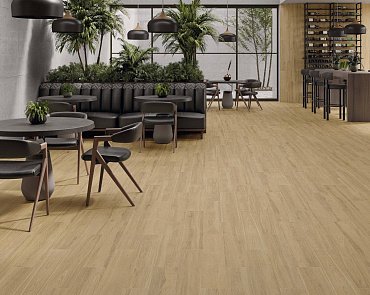 Dexter STN Ceramica – керамогранит и плитка в АРТИСАН