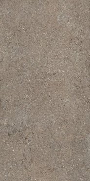 ДИСКАВЕР ДЕЗЕРТ 60X120 РЕТ купить в интернет магазине Artisan.ru