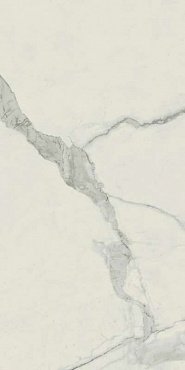 Empire Statuario 60x120/Эмпаир Статуарио 60x120 купить в интернет магазине Artisan.ru