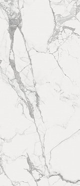 ШАР.ЭВО СТАТУАРИО 120X278 ЛЮКС купить в интернет магазине Artisan.ru