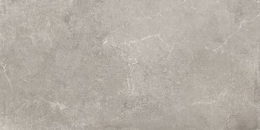 Керамогранит Monolith Grey Matt Rect 59.5x120 CAN5MONLDDAA купить в интернет магазине Artisan.ru