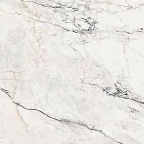 AE PAO6 120 LP купить в интернет магазине Artisan.ru