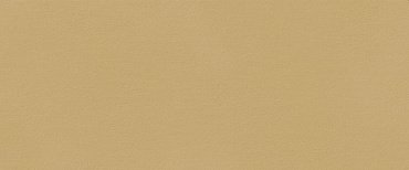 TRUE COLOR 50X120 CARAMEL MATT купить в интернет магазине Artisan.ru