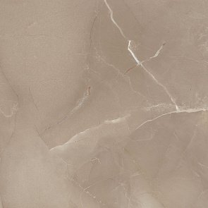 Керамогранит Passion Lux 60 Taupe 60x60 купить в интернет магазине Artisan.ru