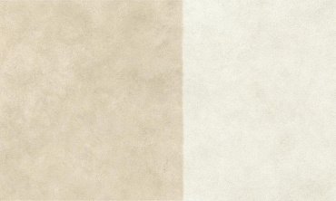 Boost Expression Duo Camel 120x278 - 6mm купить в интернет магазине Artisan.ru