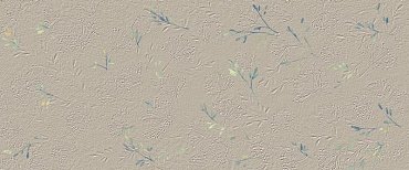 TRUE COLOR 50X120 WIND FLOWER MATT купить в интернет магазине Artisan.ru