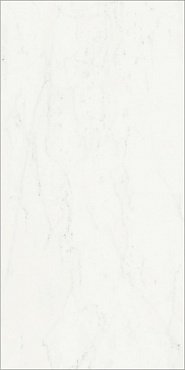 ШАР.ДЕЛ.Б.МИКЕЛ.60X120 CER купить в интернет магазине Artisan.ru