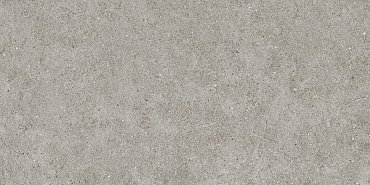 BOOST STONE Grey 60x120 купить в интернет магазине Artisan.ru