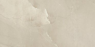 Керамогранит Passion Lux 90 Champagne Lapatto 45x90 11-015-2 купить в интернет магазине Artisan.ru
